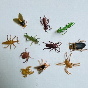Insects Bugs Beetle Fly Cricket Mantis Spider Grasshopper 11 Pieces 2in Vintage